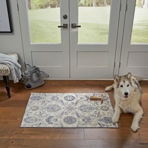 Accent Rugs